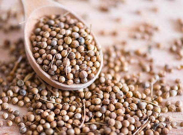 تصویر 2 از خرید و قیمت تخم گشنیز ترد + فروش عمده